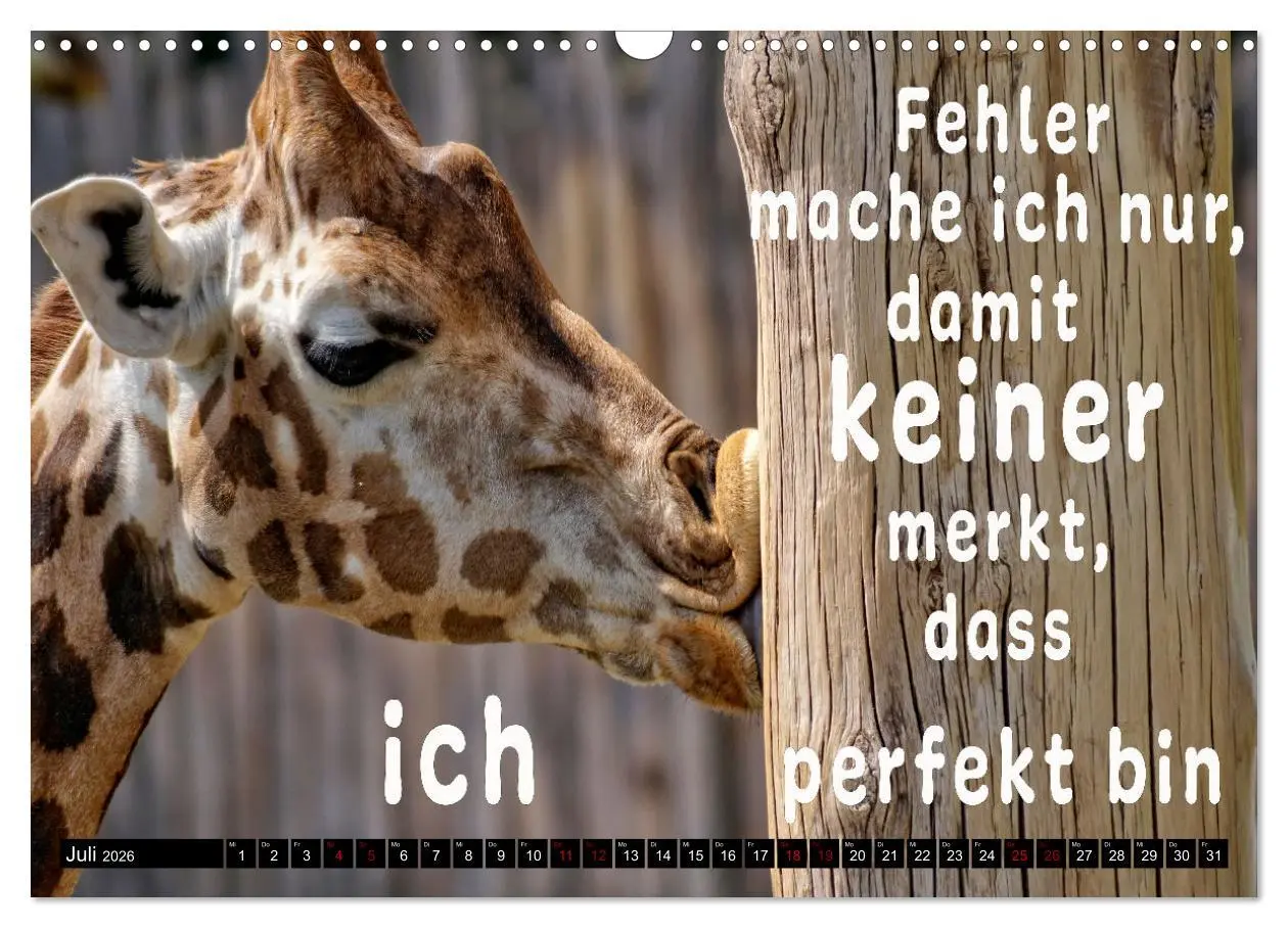 Bild: 9783457650059 | Spruchreif - Gute-Laune-Kalender (Wandkalender 2026 DIN A3 quer),...