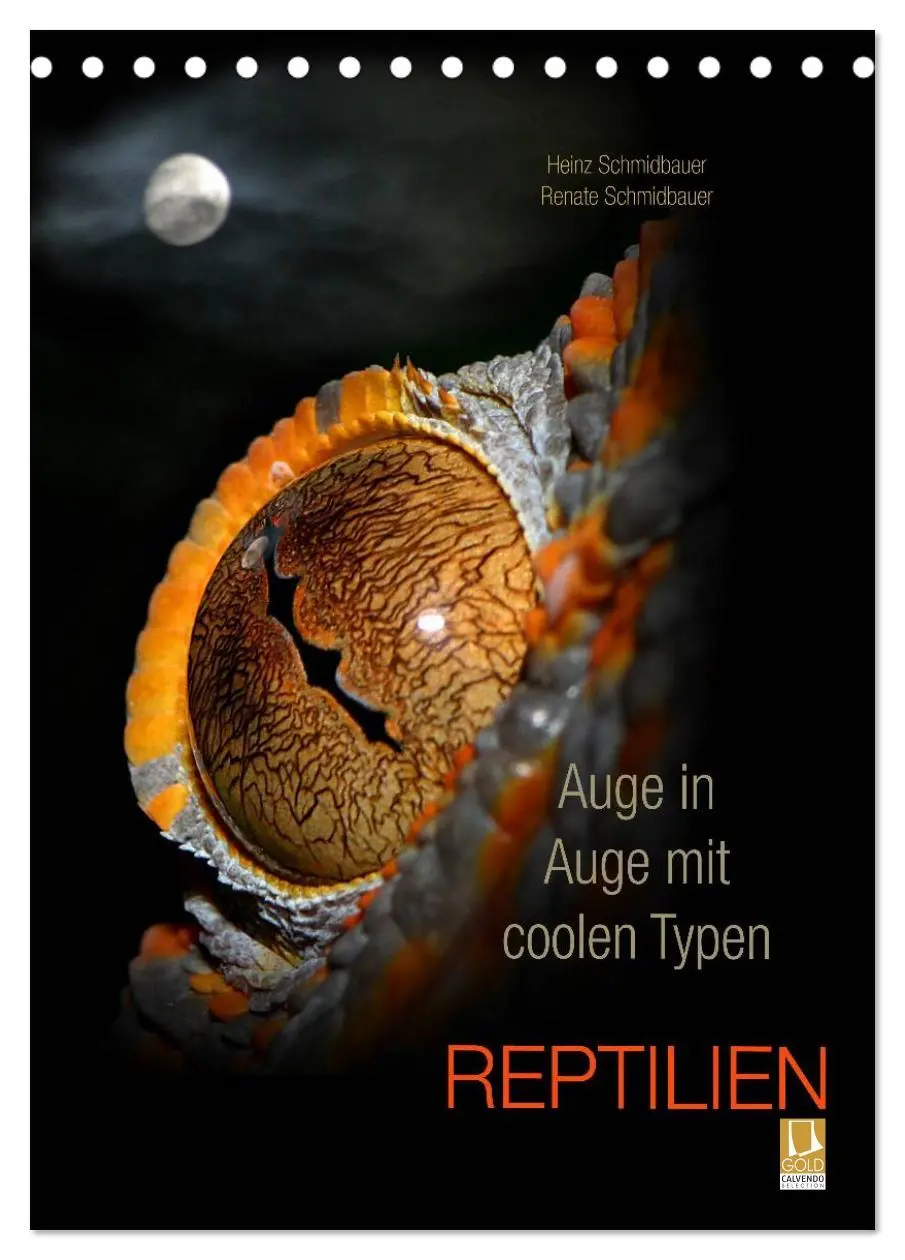 Cover: 9783516430059 | Auge in Auge mit coolen Typen - REPTILIEN (Tischkalender 2026 DIN...