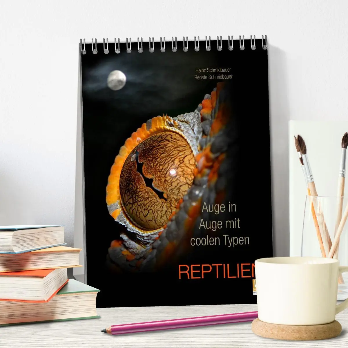 Bild: 9783516430059 | Auge in Auge mit coolen Typen - REPTILIEN (Tischkalender 2026 DIN...