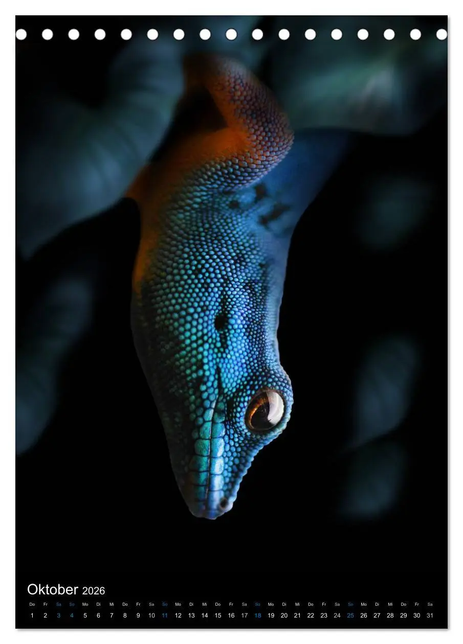 Bild: 9783516430059 | Auge in Auge mit coolen Typen - REPTILIEN (Tischkalender 2026 DIN...