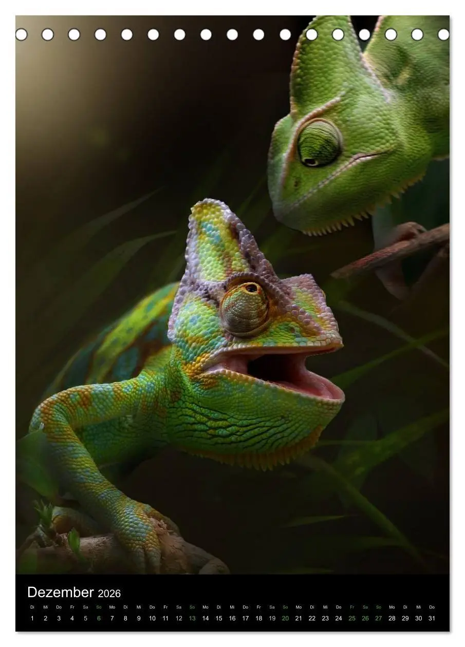 Bild: 9783516430059 | Auge in Auge mit coolen Typen - REPTILIEN (Tischkalender 2026 DIN...