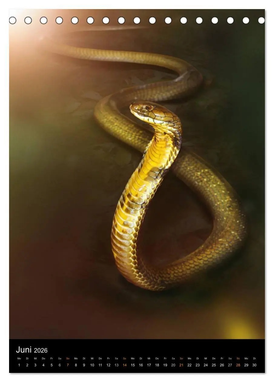 Bild: 9783516430059 | Auge in Auge mit coolen Typen - REPTILIEN (Tischkalender 2026 DIN...