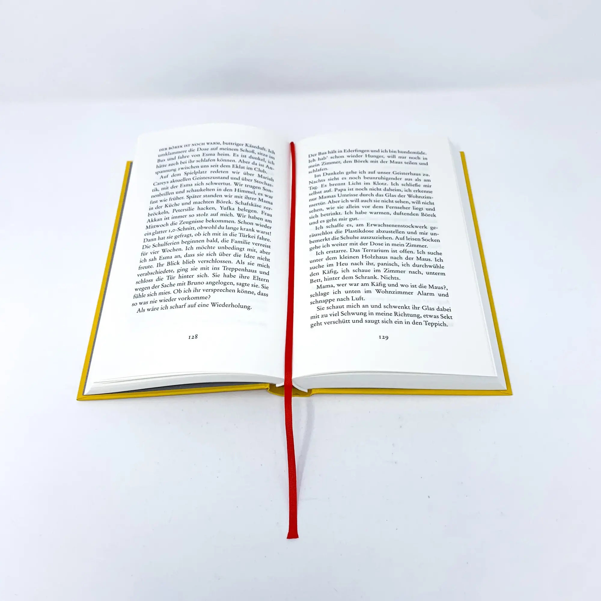 Bild: 9783423290159 | Liebe ist gewaltig | Claudia Schumacher | Buch | 376 S. | Deutsch