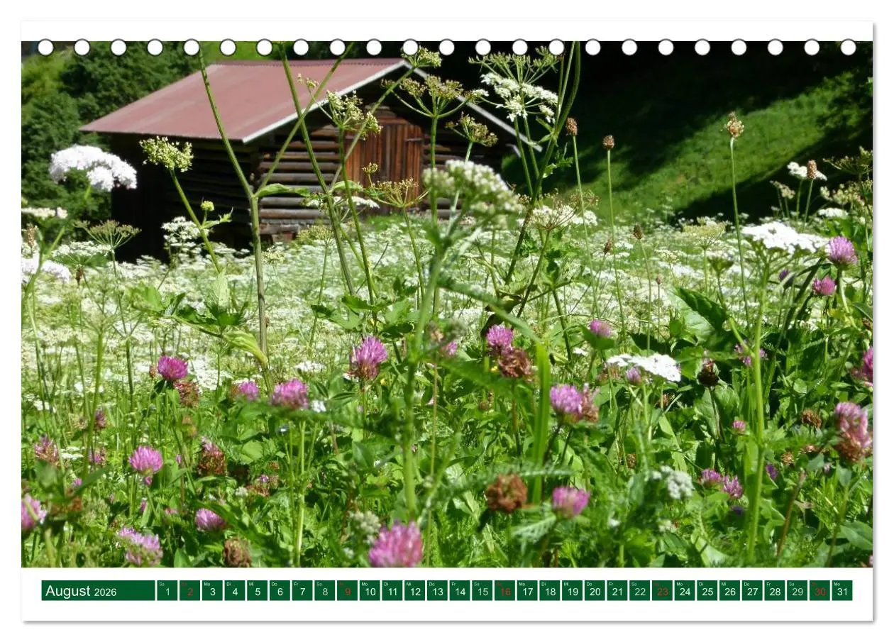 Bild: 9783516110159 | Montafon (Tischkalender 2026 DIN A5 quer), CALVENDO Monatskalender