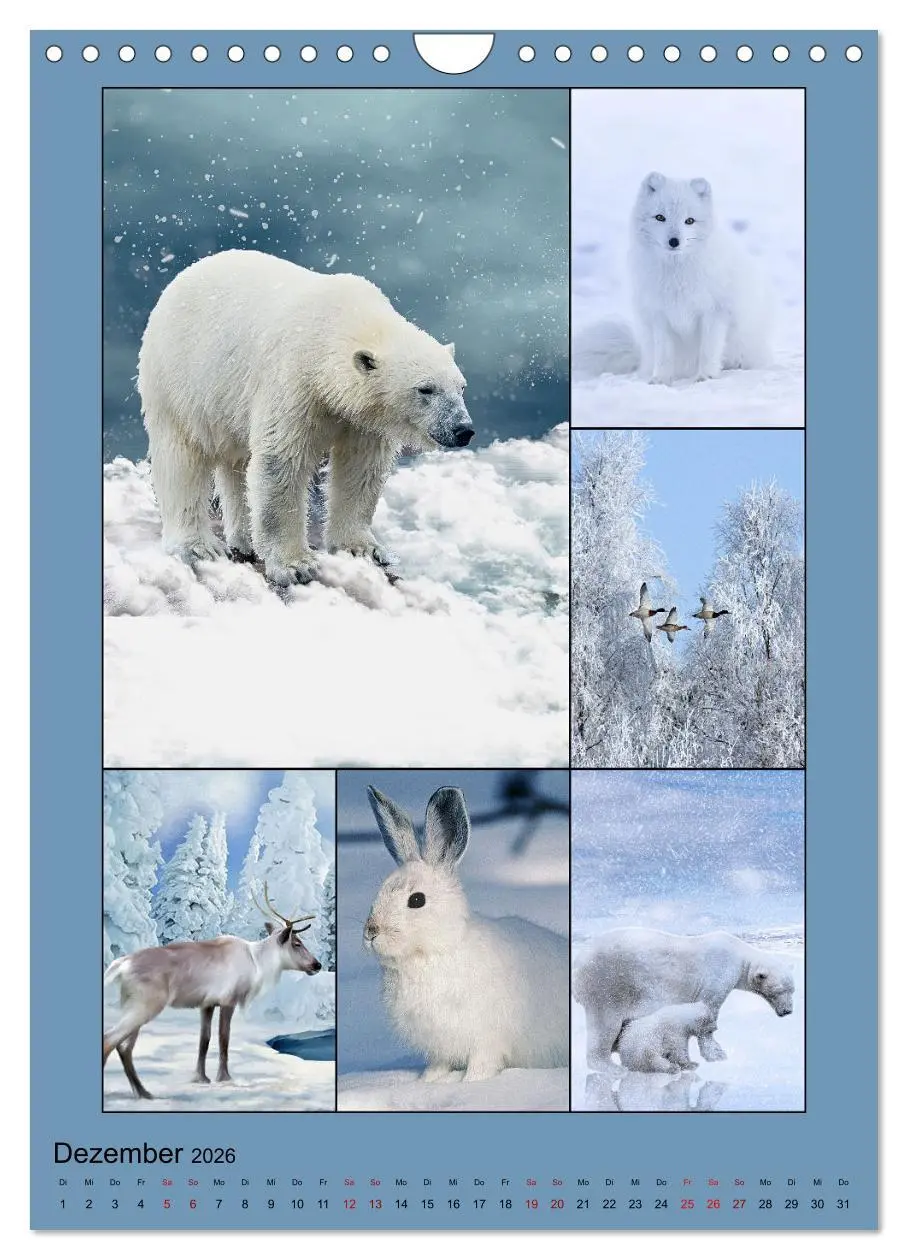 Bild: 9783516350159 | Farbsymphonien der Natur (Wandkalender 2026 DIN A4 hoch), CALVENDO...