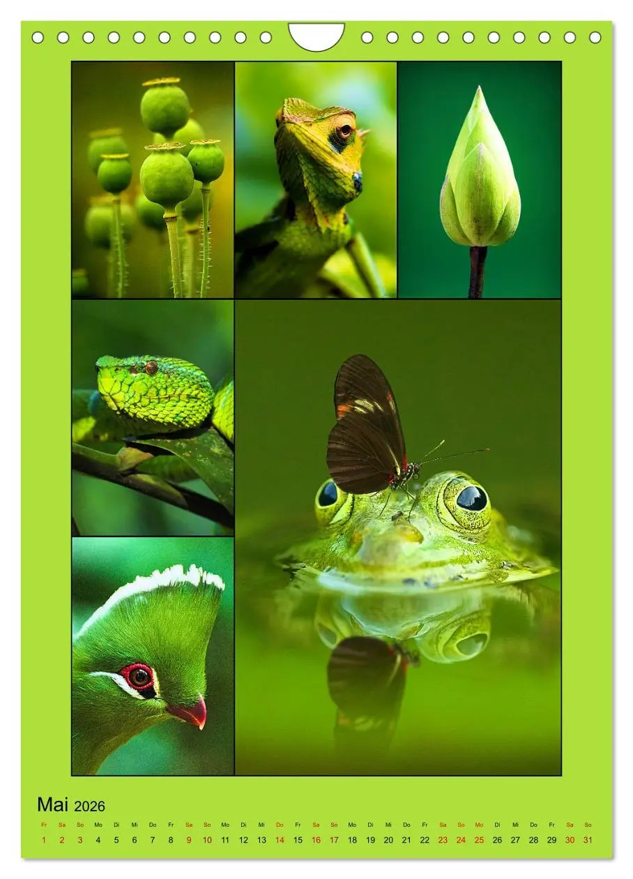 Bild: 9783516350159 | Farbsymphonien der Natur (Wandkalender 2026 DIN A4 hoch), CALVENDO...