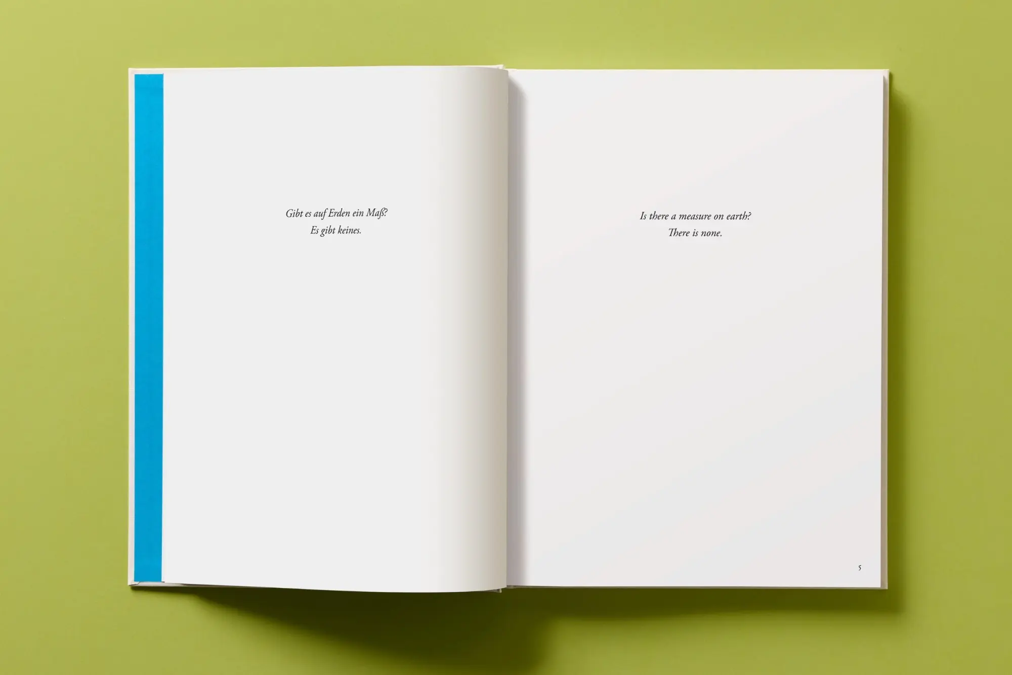 Bild: 9783754400159 | André Butzer. Friedrich Hölderlin. Die Jahreszeiten / The Seasons