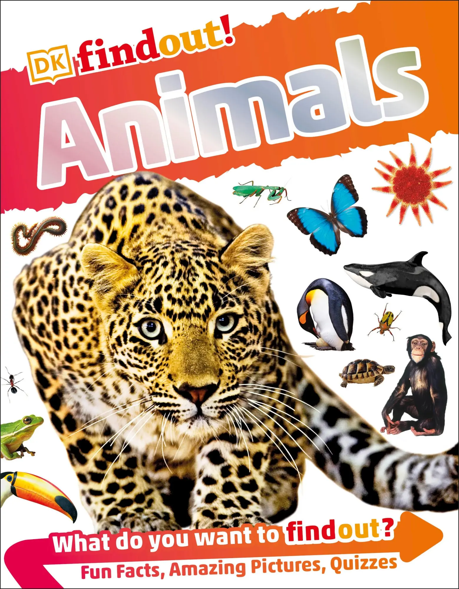 Cover: 9780241250259 | DKfindout! Animals | Dk | Taschenbuch | 64 S. | Englisch | 2016