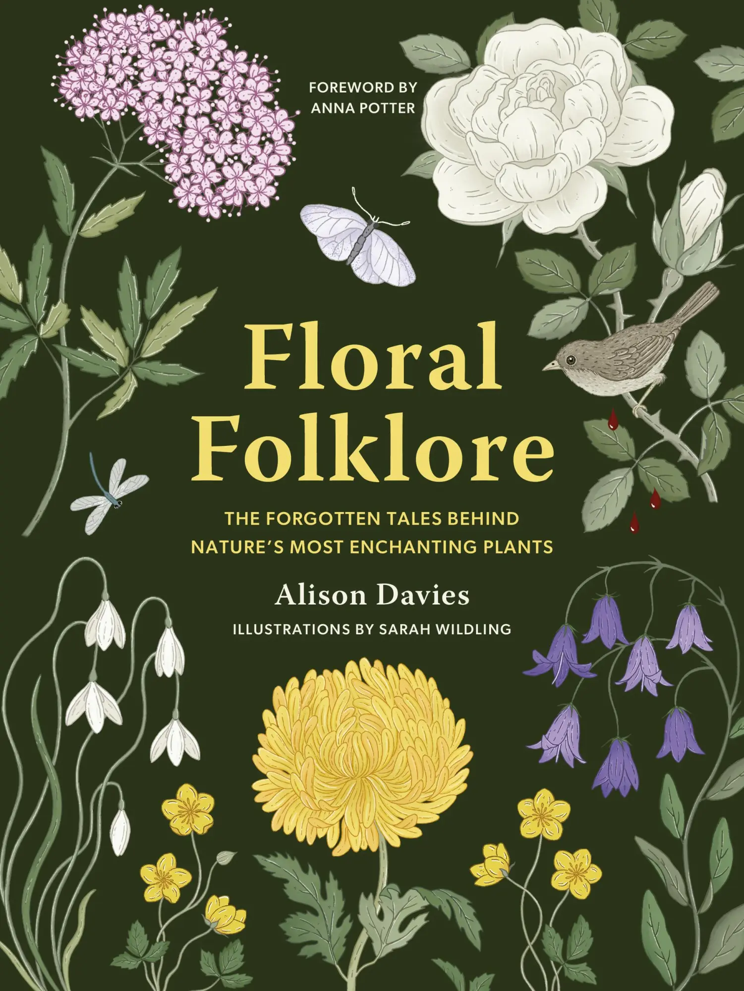Cover: 9780711290259 | Floral Folklore | Alison Davies | Buch | Quarto | Englisch | 2024