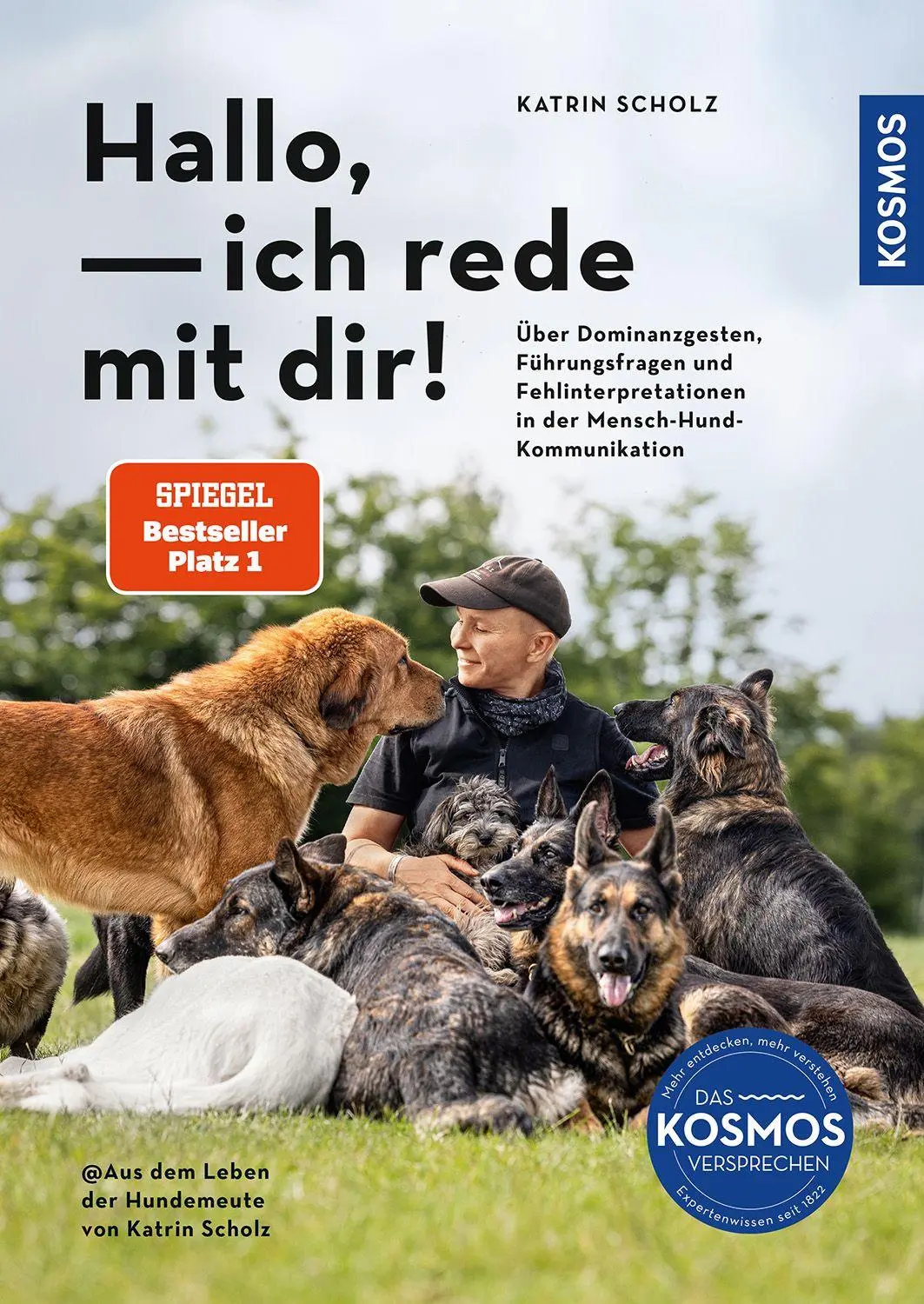 Cover: 9783440180259 | Hallo, ich rede mit dir! | Katrin Scholz | Buch | 208 S. | Deutsch