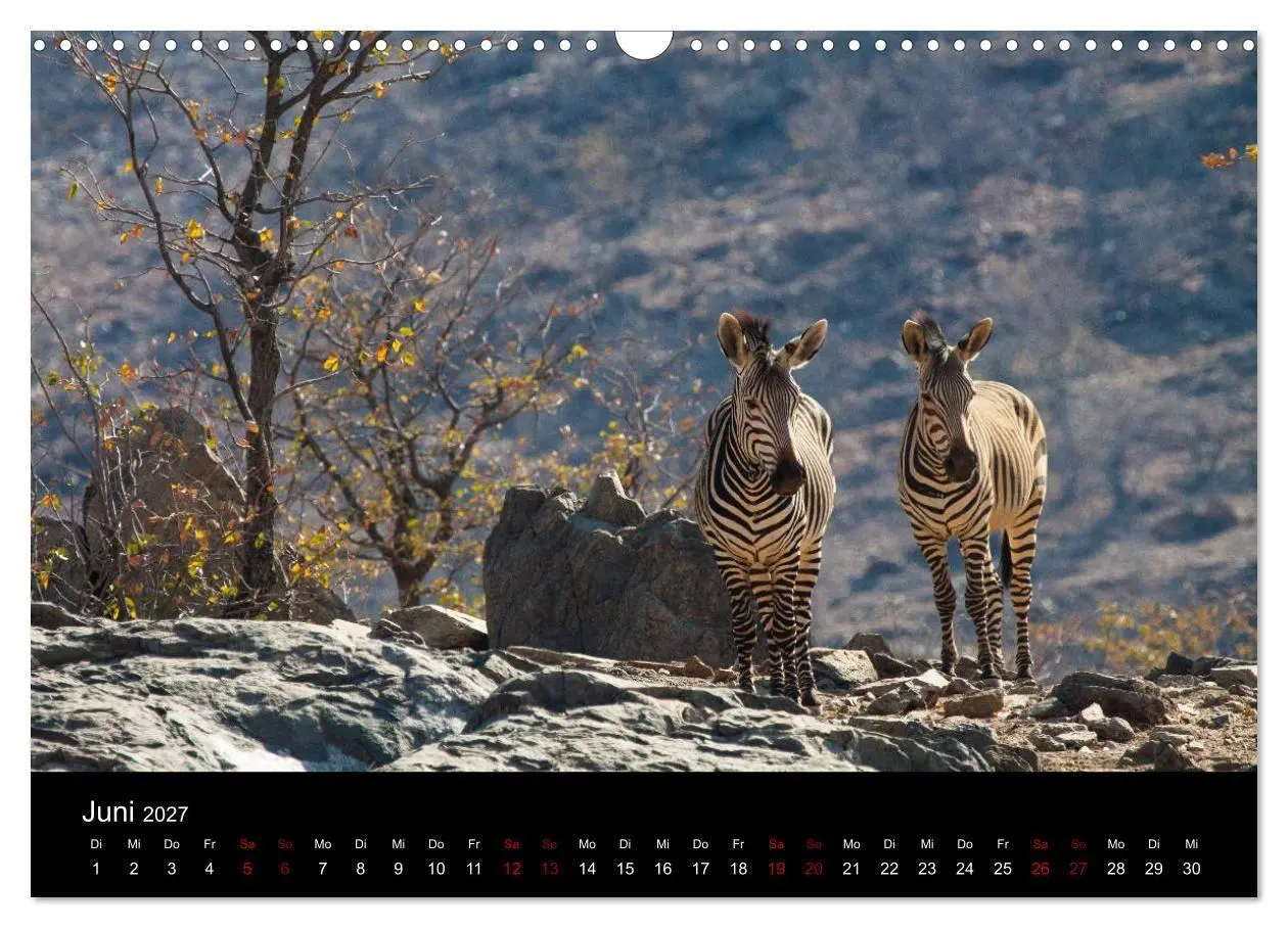 Bild: 9783569810259 | Afrika - Faszination Tierwelt (Wandkalender 2027 DIN A3 quer),...