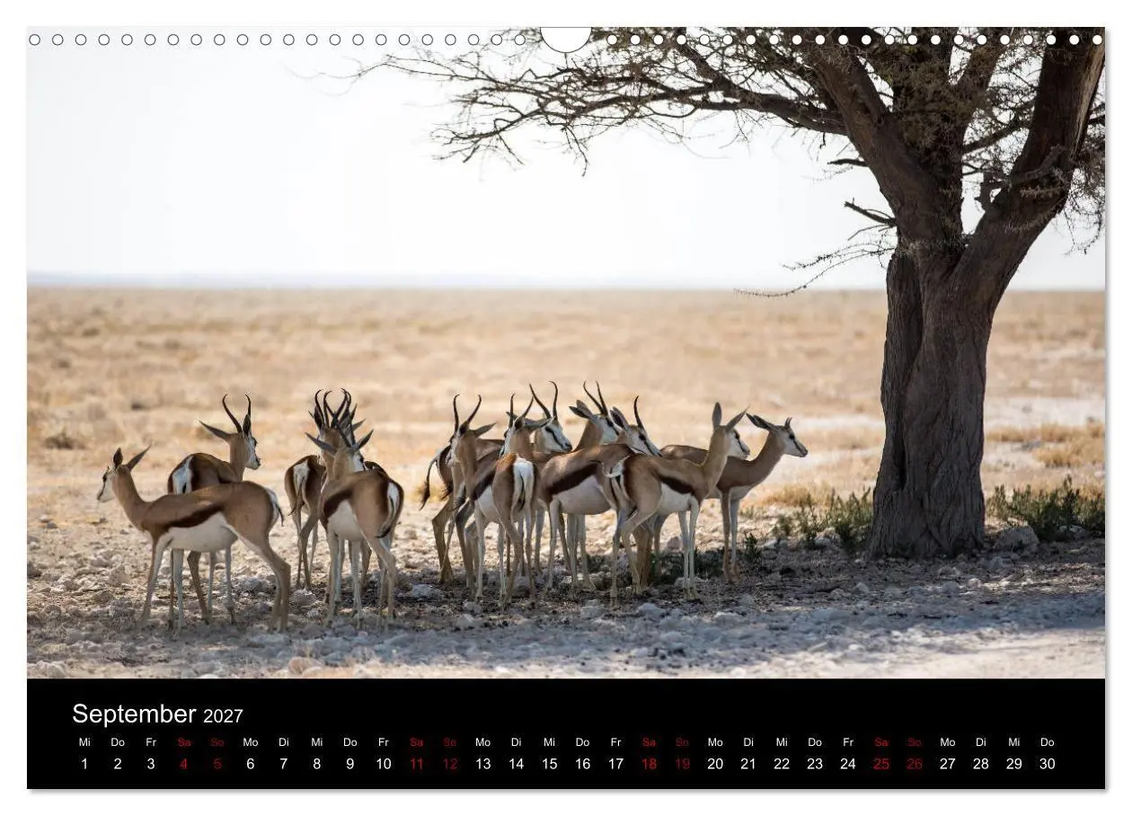 Bild: 9783569810259 | Afrika - Faszination Tierwelt (Wandkalender 2027 DIN A3 quer),...