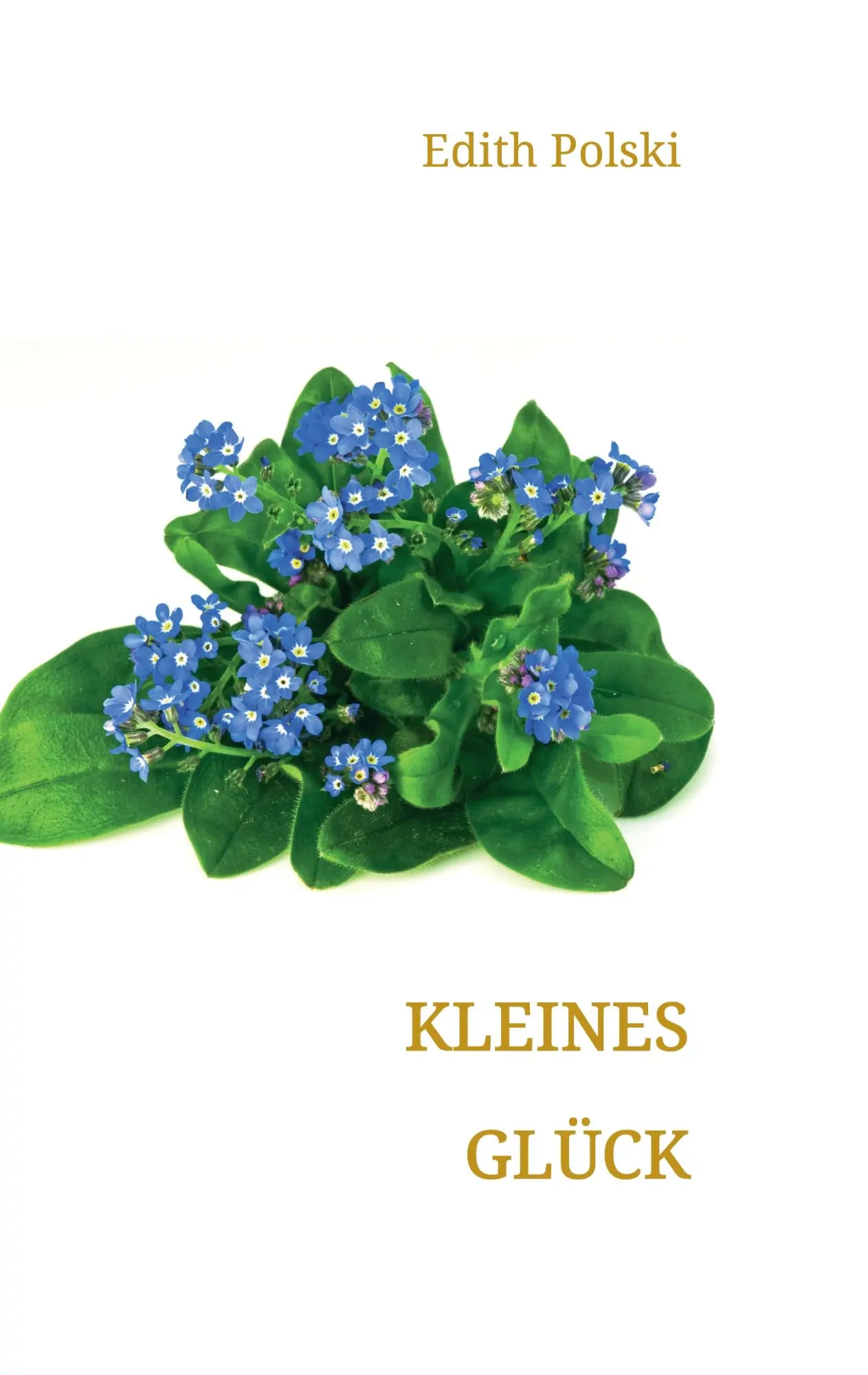 Cover: 9783734520259 | Kleines Glück | Edith Polski | Taschenbuch | 132 S. | Deutsch | 2016