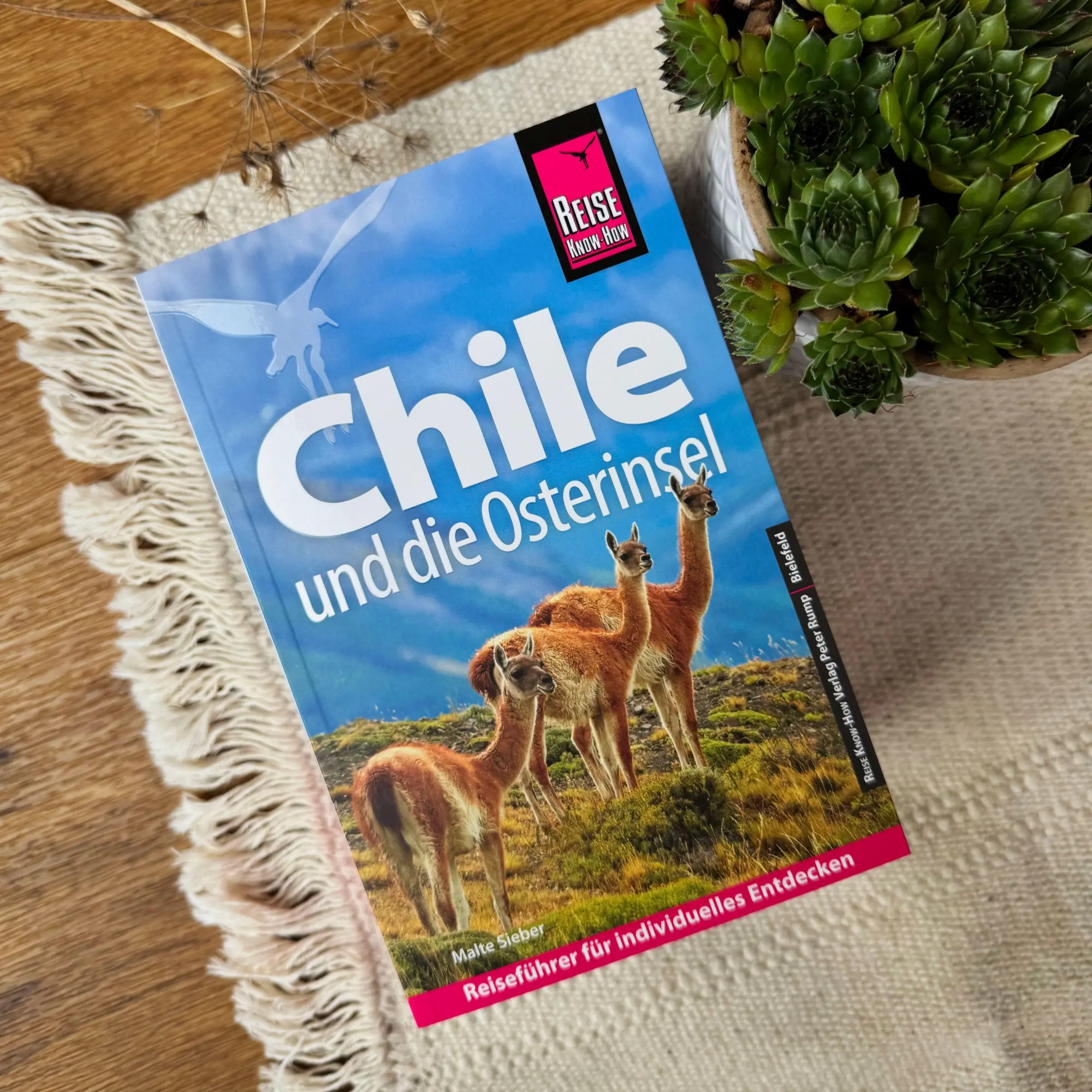 Bild: 9783831780259 | Reise Know-How Reiseführer Chile und die Osterinsel | Malte Sieber
