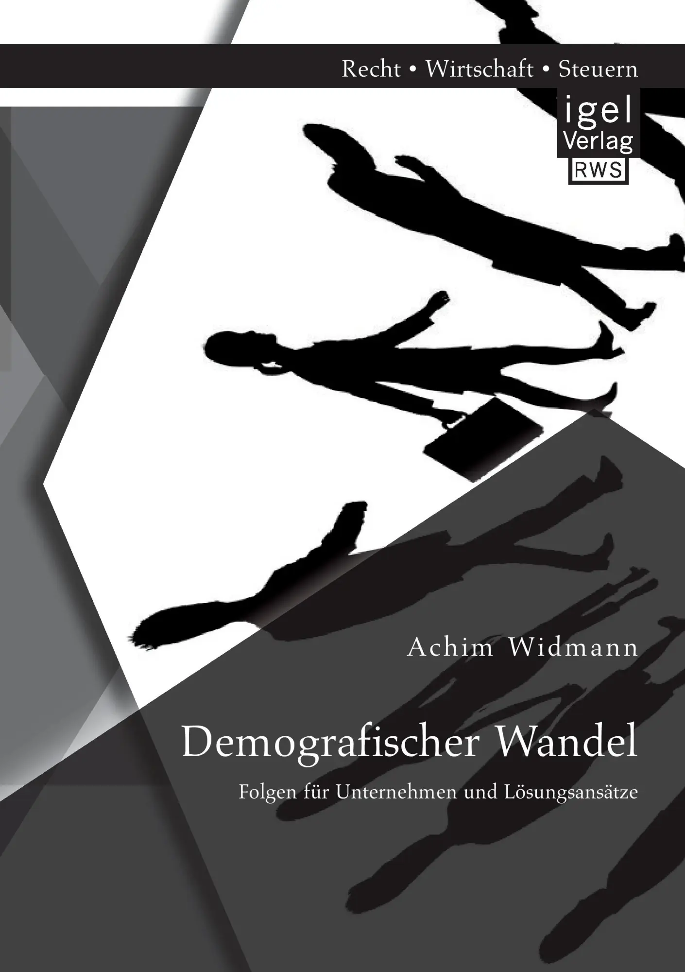 Cover: 9783954850259 | Demografischer Wandel: Folgen für Unternehmen und Lösungsansätze