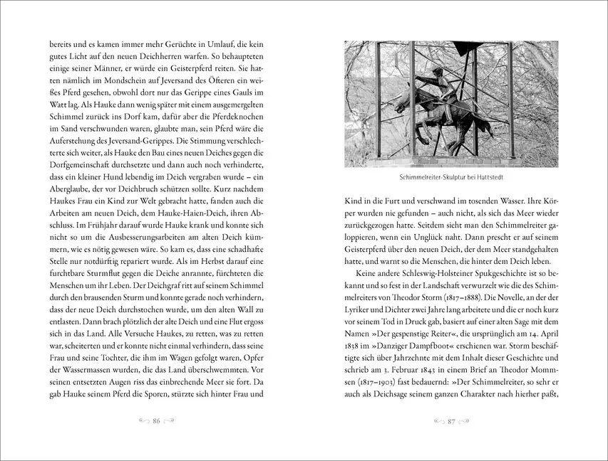 Bild: 9783957990259 | Spukgeschichten aus Schleswig-Holstein | Karolin Küntzel | Taschenbuch