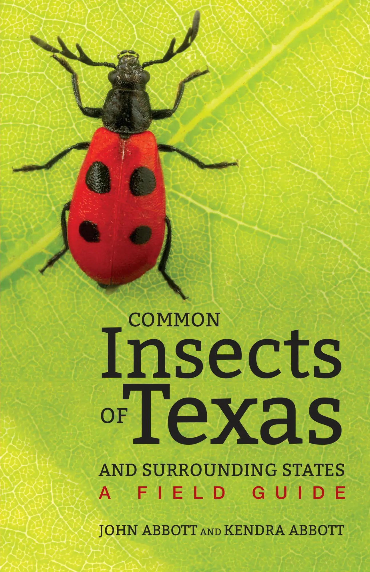 Cover: 9781477310359 | Common Insects of Texas and Surrounding States: A Field Guide | Buch