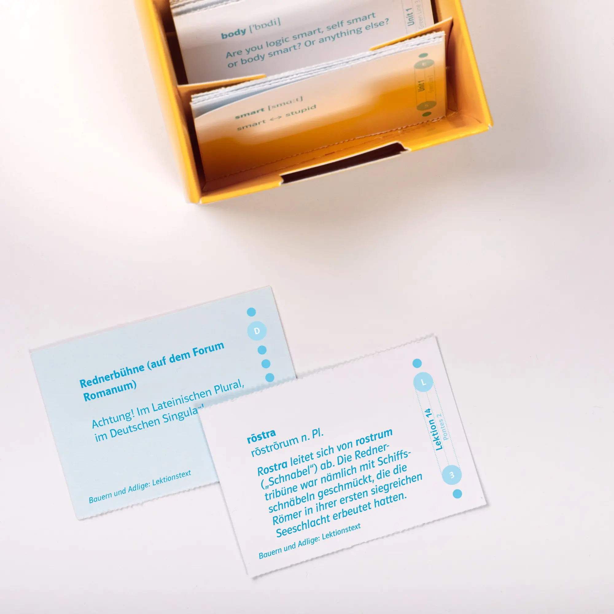 Bild: 9783129240359 | Pontes 2. Vokabel-Lernbox zum Schulbuch | Box | Vokabel-Lernbox | 2017