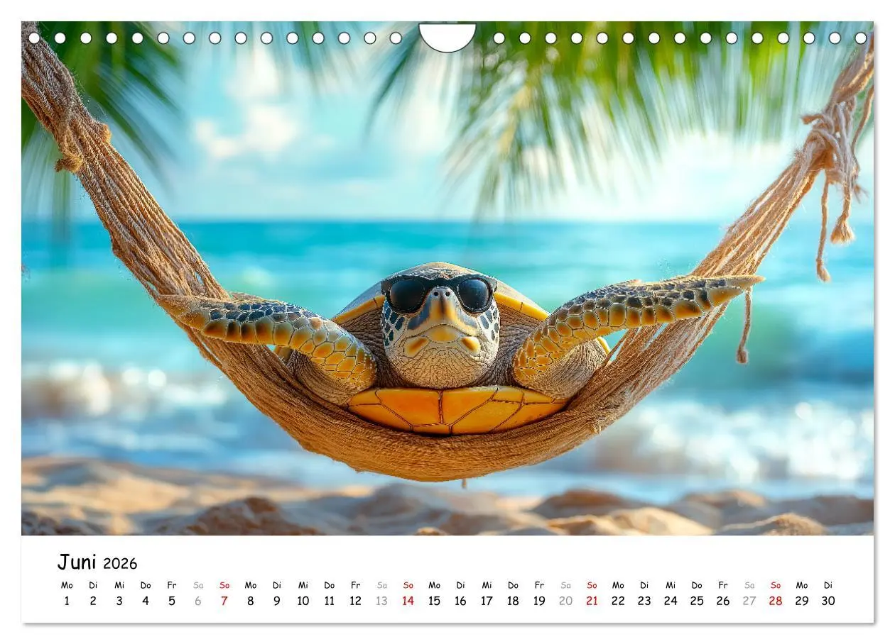 Bild: 9783457310359 | CHILL MAL - Entspannte Schildkröten beim Faulenzen (Wandkalender...
