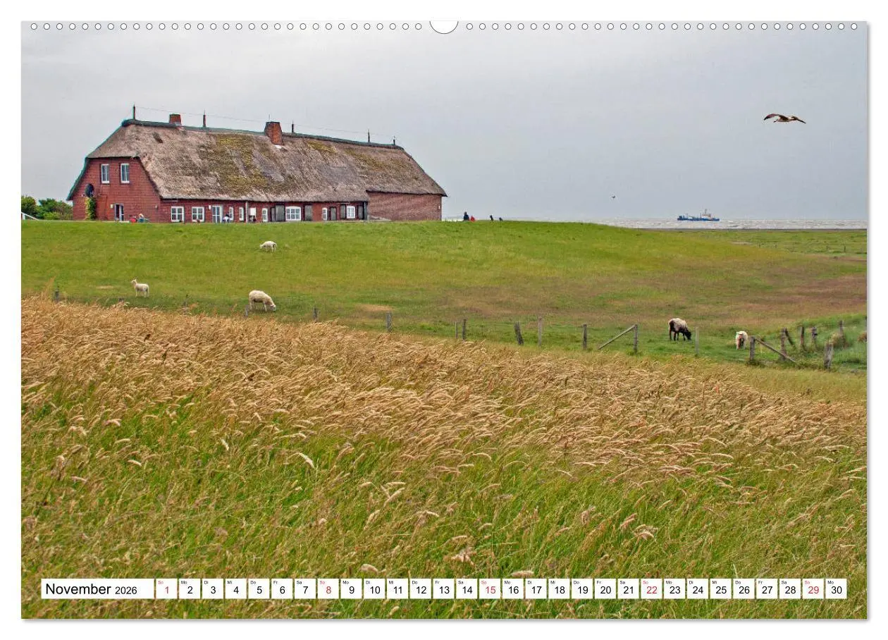 Bild: 9783457930359 | Die Nordsee zwischen Stade und Pellworm (Wandkalender 2026 DIN A2...