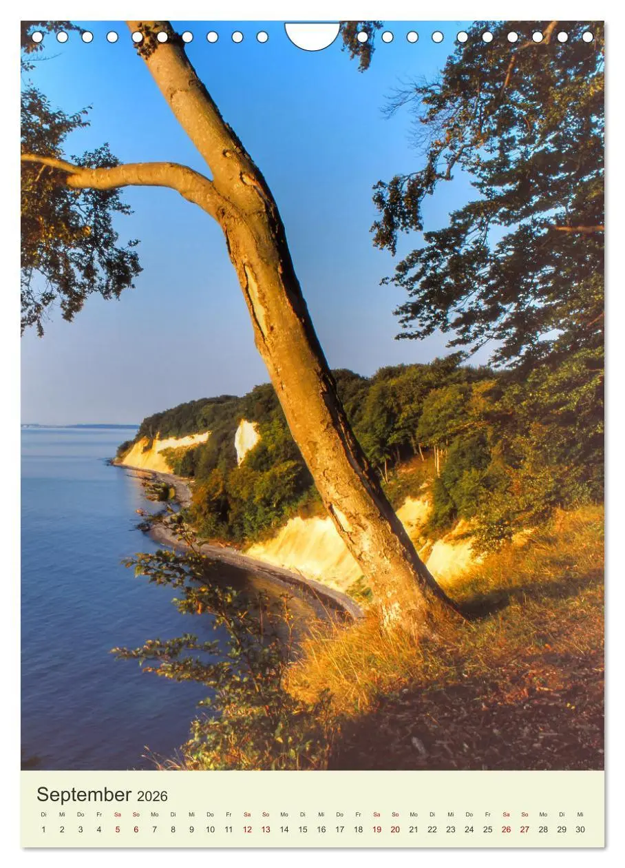 Bild: 9783516260359 | MECKLENBURG-VORPOMMERN. Du bist so schön (Wandkalender 2026 DIN A4...