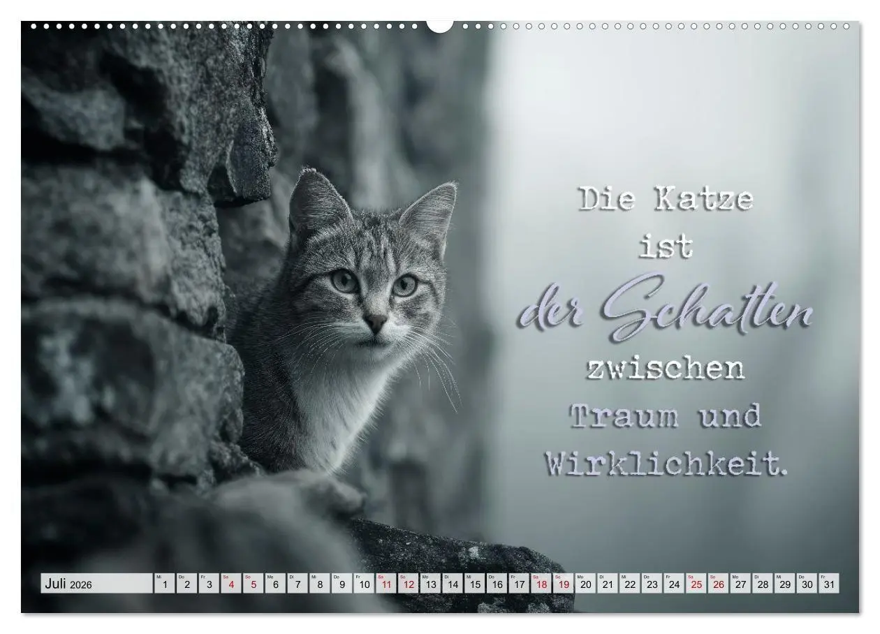 Bild: 9783516710359 | Katzenpoesie - Herzberührende Verse (Wandkalender 2026 DIN A2...