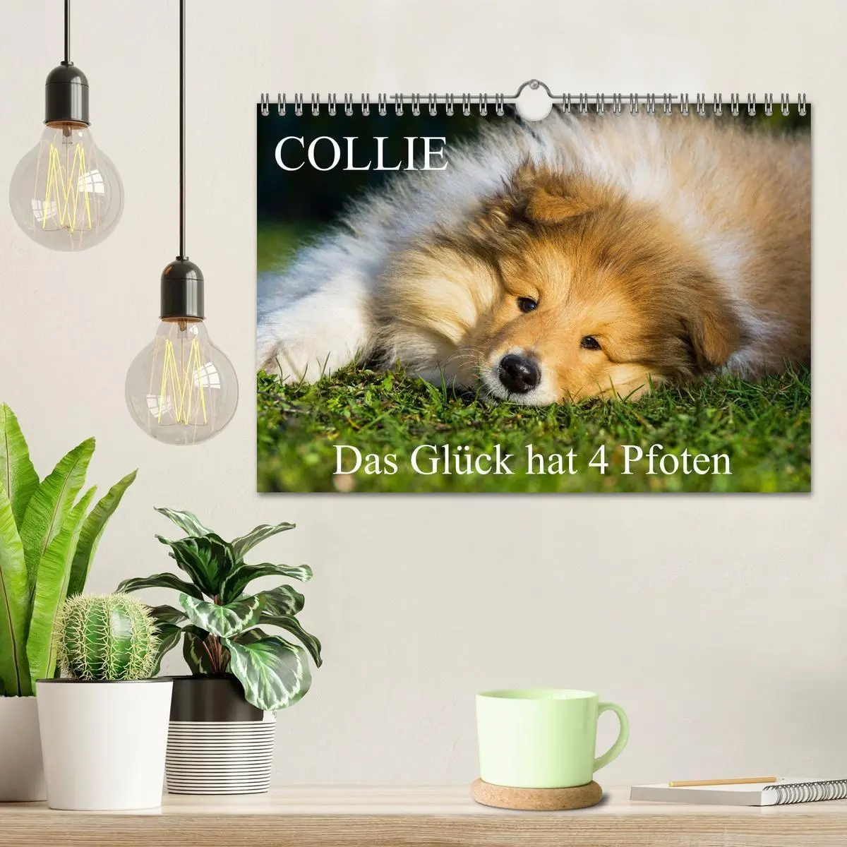Bild: 9783569730359 | Collie - Das Glück hat 4 Pfoten (Wandkalender 2027 DIN A4 quer),...