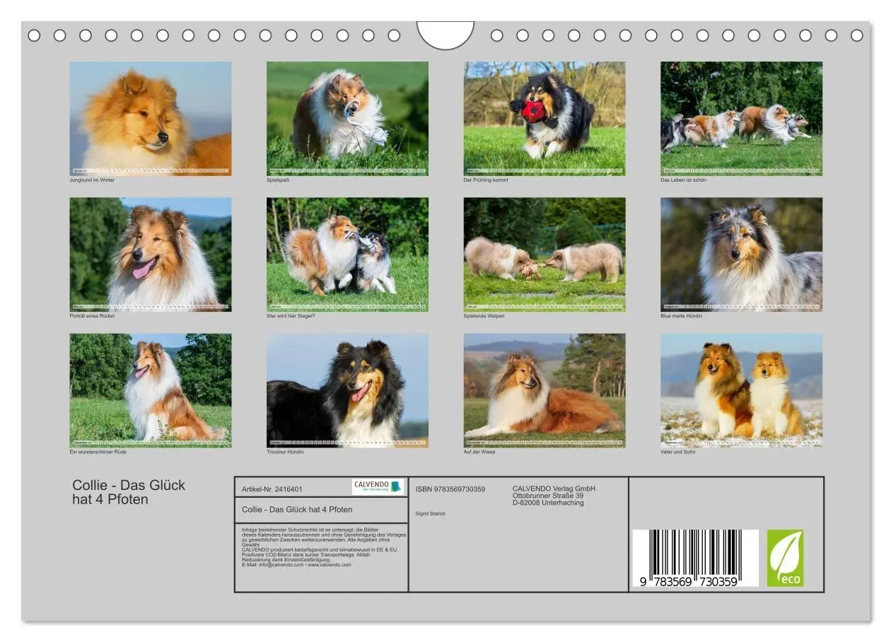 Bild: 9783569730359 | Collie - Das Glück hat 4 Pfoten (Wandkalender 2027 DIN A4 quer),...