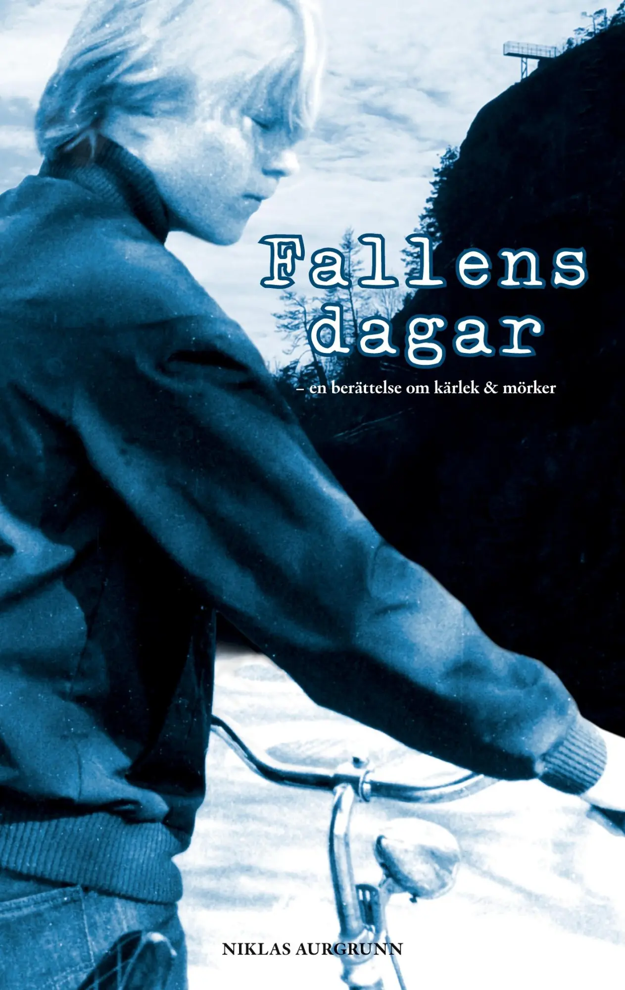 Cover: 9789179690359 | Fallens dagar | Niklas Aurgrunn | Taschenbuch | Paperback | Schwedisch