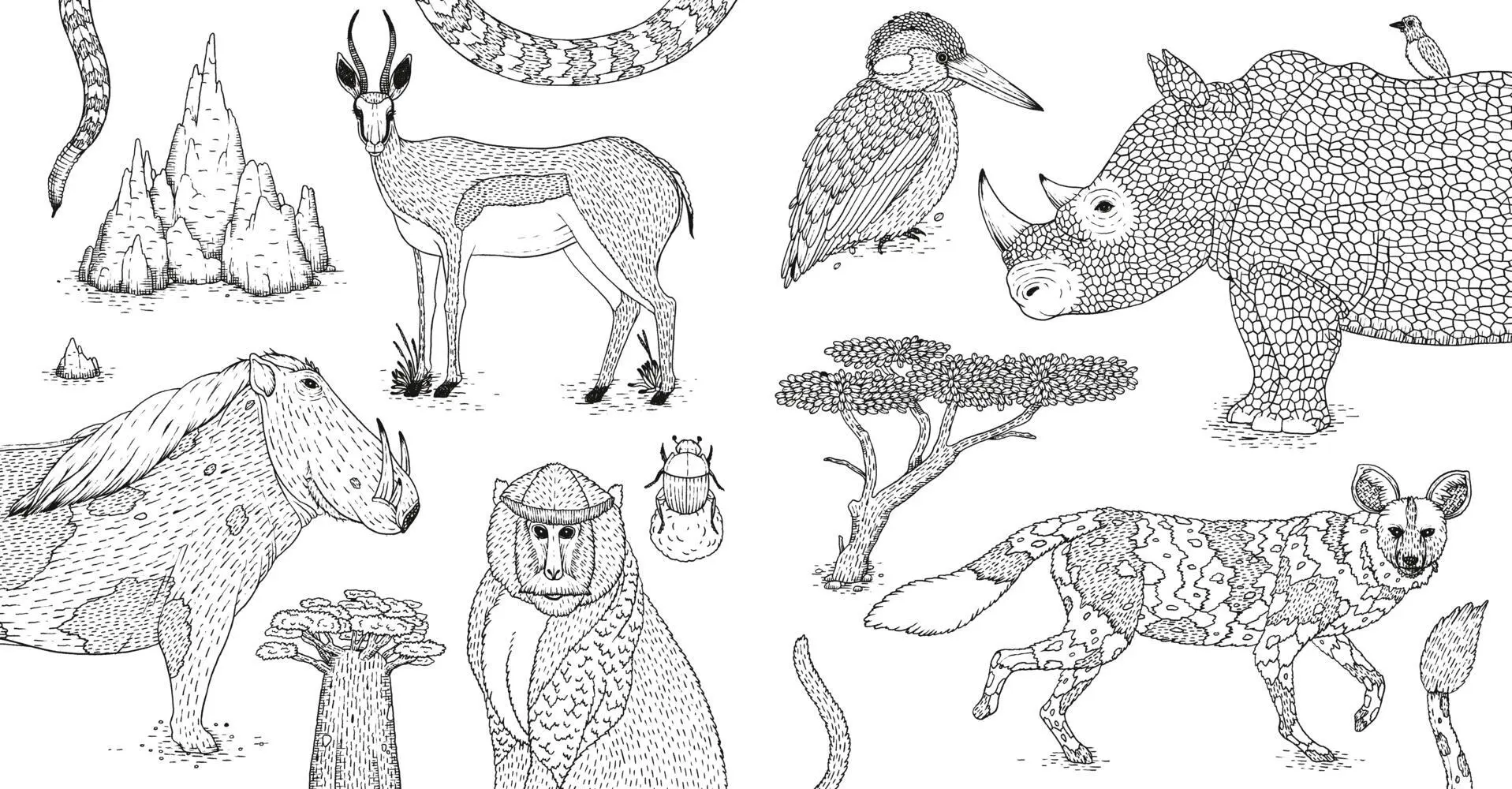 Bild: 4026633000459 | Wildes Afrika | Ausmalen und entspannen | Suthipa Kamyam | Taschenbuch