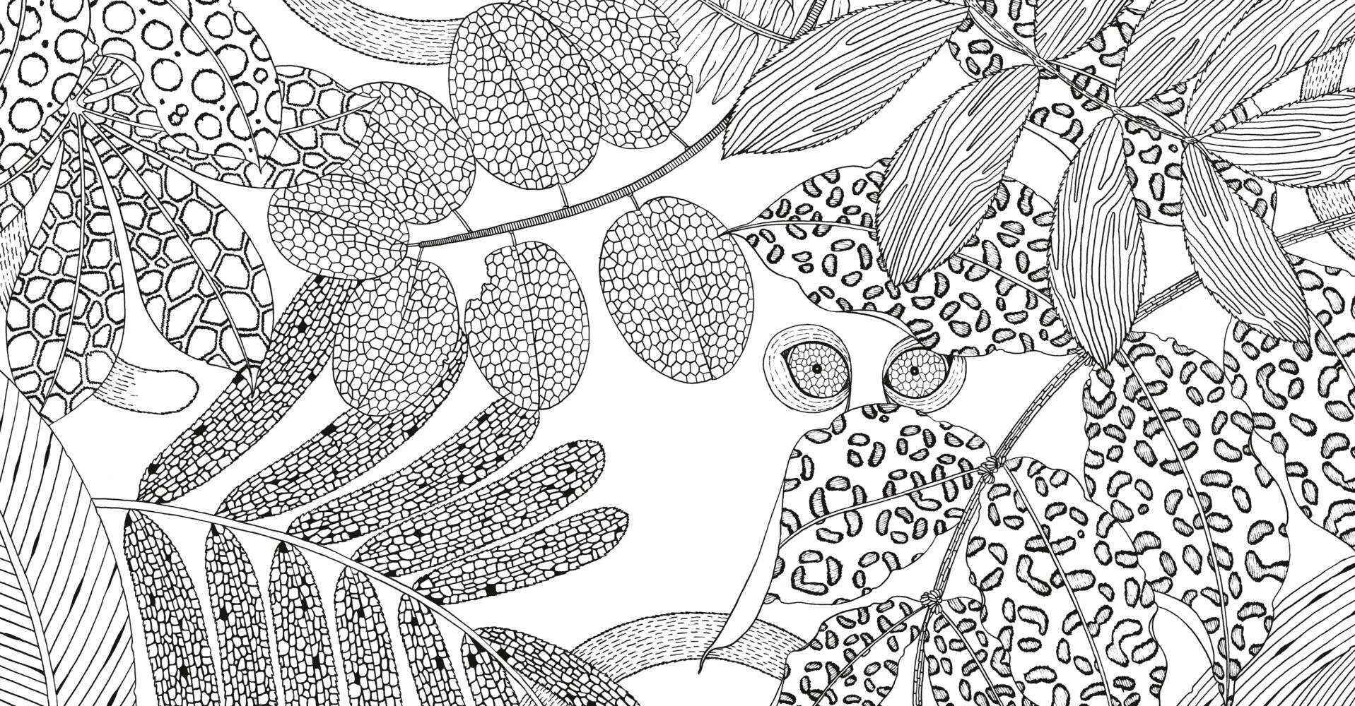 Bild: 4026633000459 | Wildes Afrika | Ausmalen und entspannen | Suthipa Kamyam | Taschenbuch