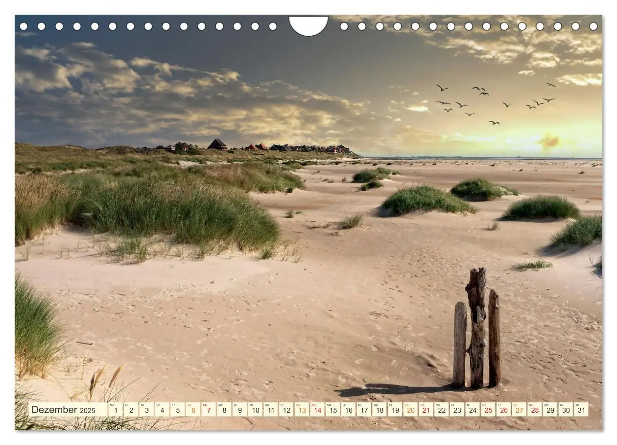 Bild: 9783435070459 | Geliebte Nordsee (Wandkalender 2025 DIN A4 quer), CALVENDO...