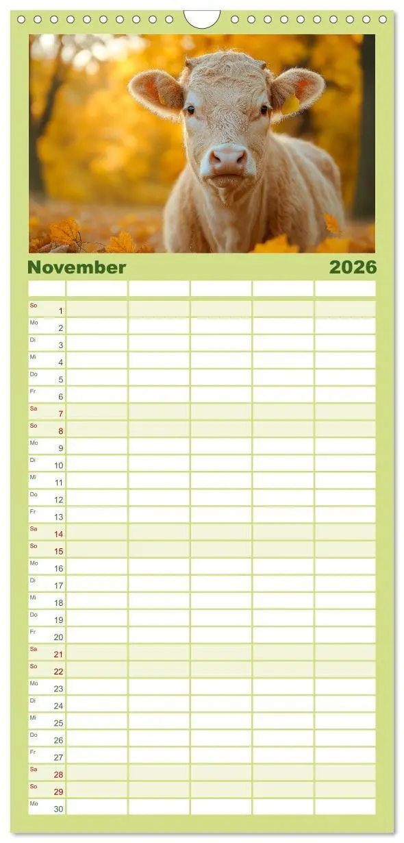 Bild: 9783516490459 | Familienplaner 2026 - KÜHE AUF DER ALM - Der Kalender aus Bayern...