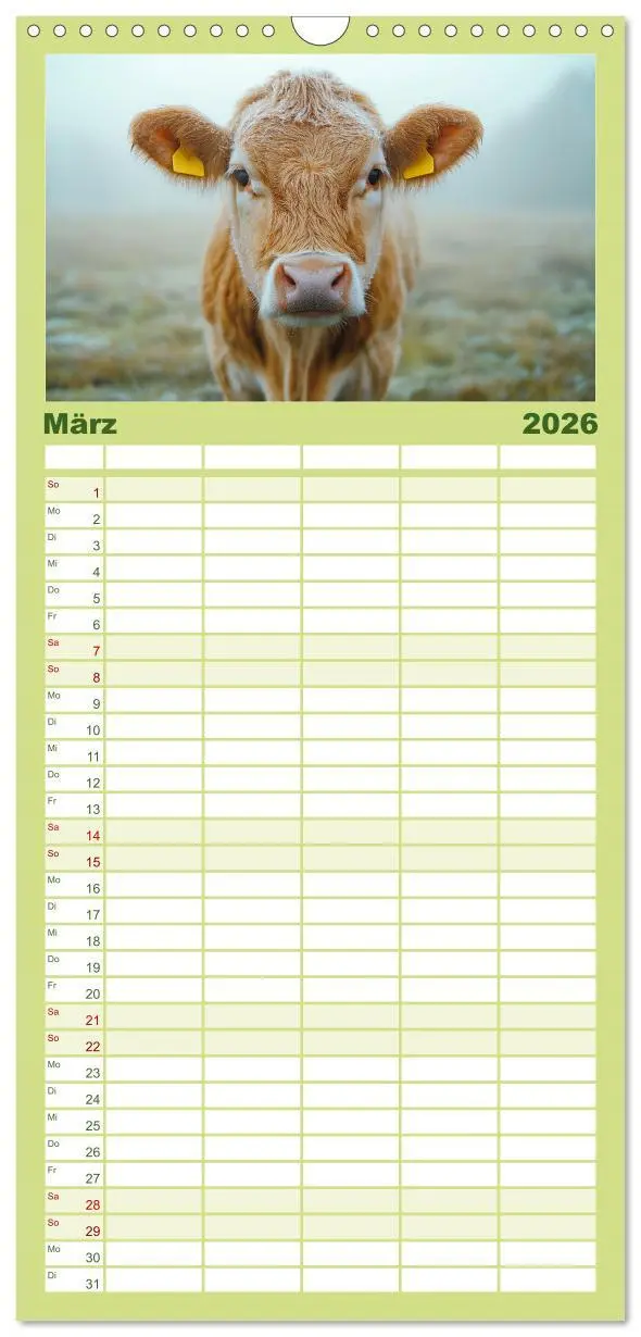 Bild: 9783516490459 | Familienplaner 2026 - KÜHE AUF DER ALM - Der Kalender aus Bayern...