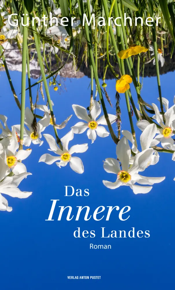 Cover: 9783702510459 | Das Innere des Landes | Roman - Grundstücksspekulation in Österreich