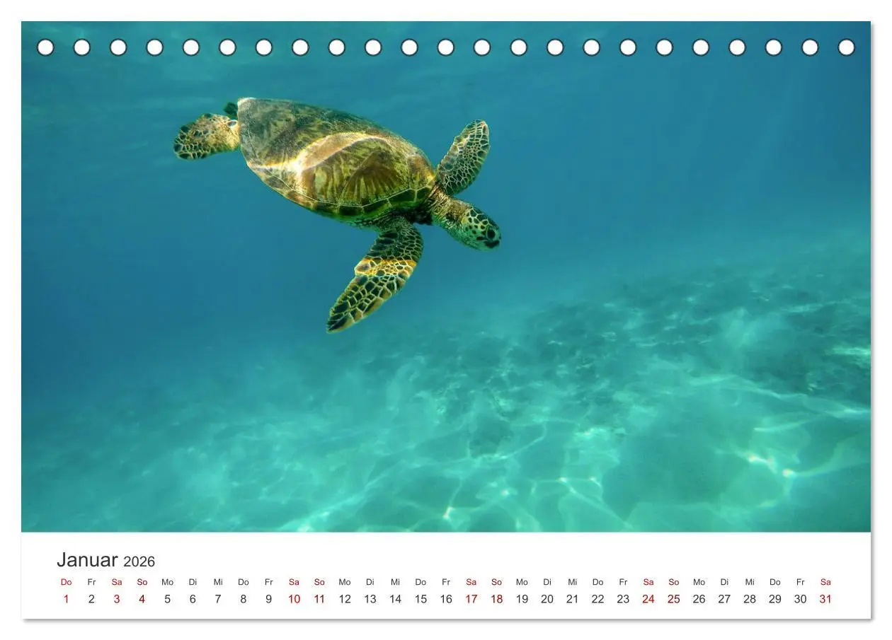 Bild: 9783457600559 | Hawaii - Wunderschöne Einblicke in das Naturparadies....