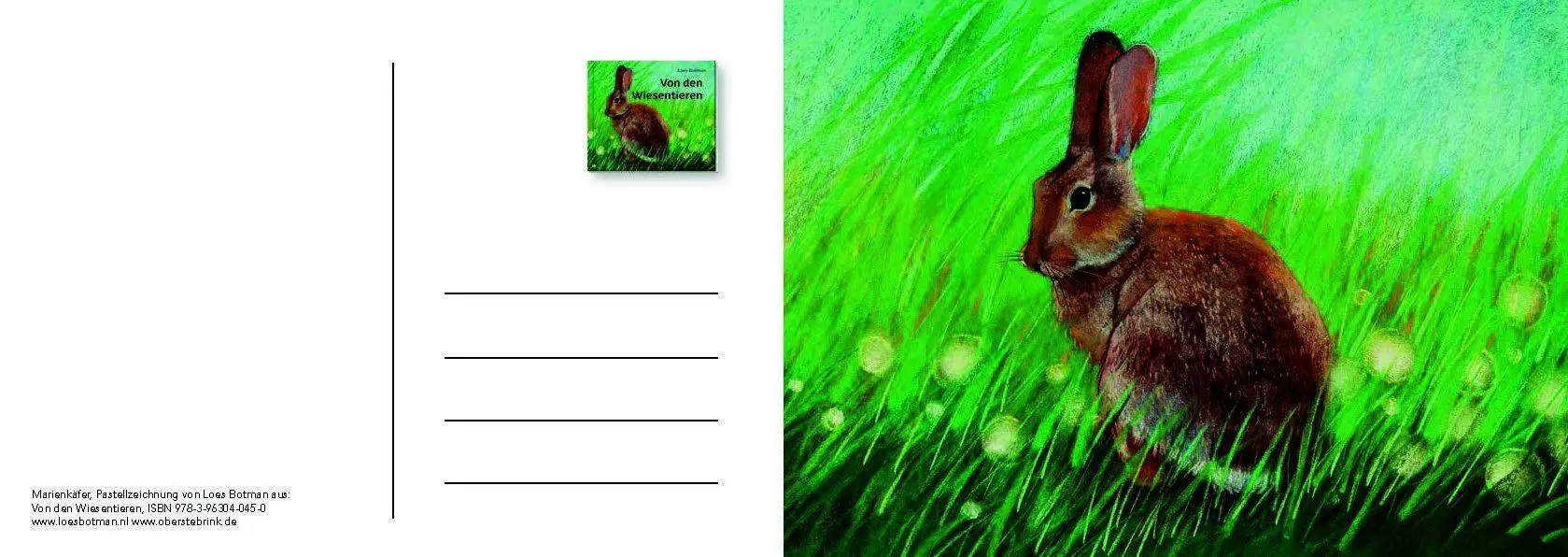 Bild: 9783963040559 | Von den Wiesentieren - Ein Postkartenbuch | Loes Botman | Taschenbuch