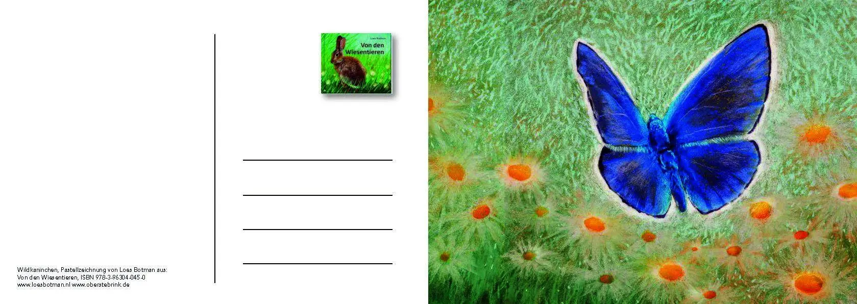 Bild: 9783963040559 | Von den Wiesentieren - Ein Postkartenbuch | Loes Botman | Taschenbuch