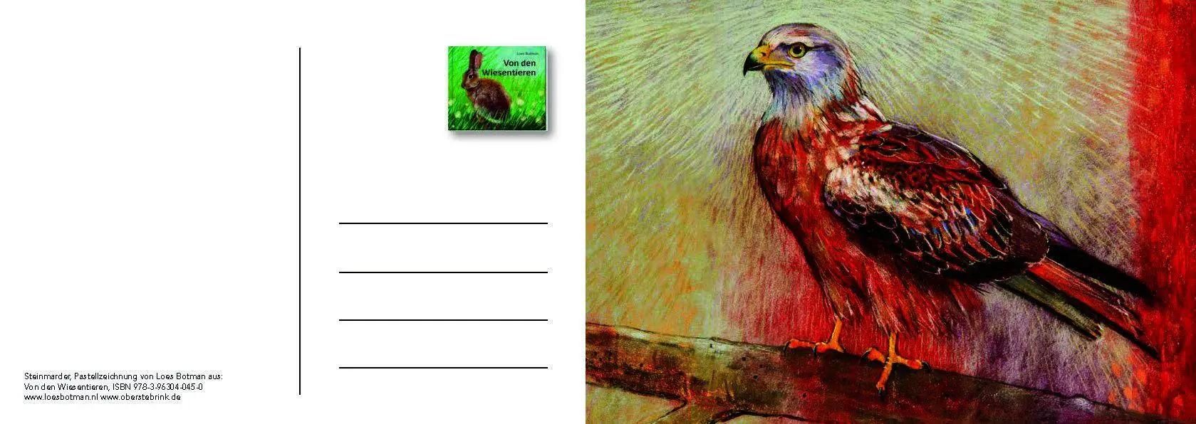 Bild: 9783963040559 | Von den Wiesentieren - Ein Postkartenbuch | Loes Botman | Taschenbuch