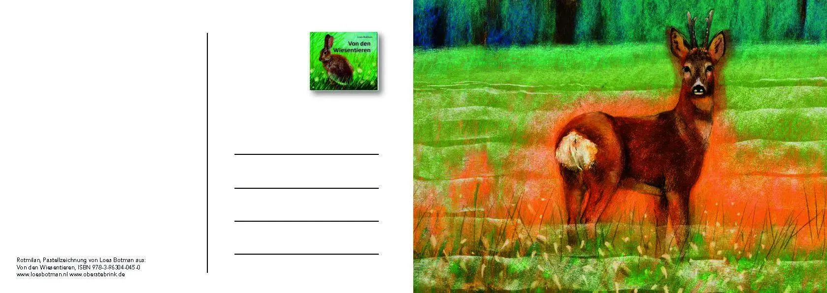 Bild: 9783963040559 | Von den Wiesentieren - Ein Postkartenbuch | Loes Botman | Taschenbuch