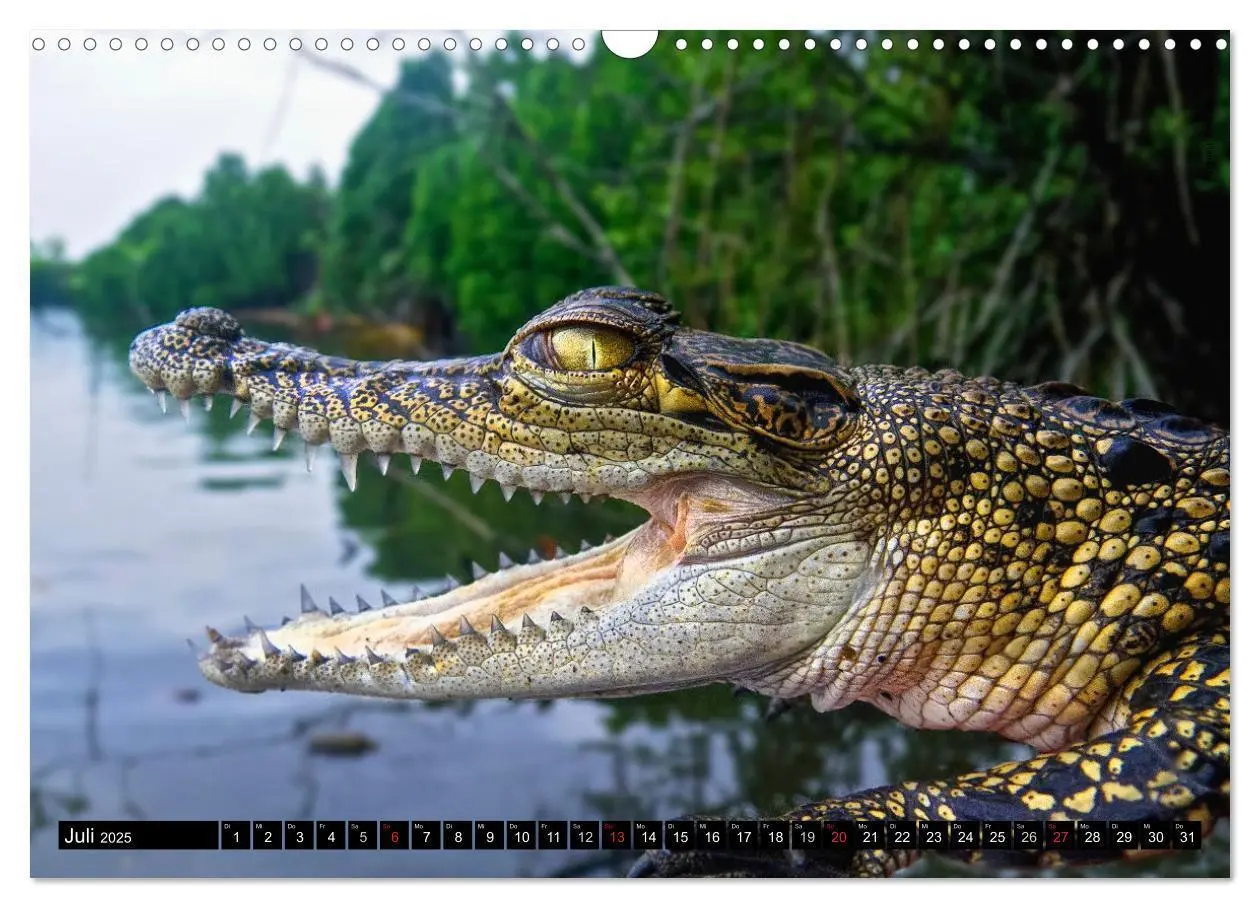 Bild: 9783435670659 | Sri Lanka 2025 - Exotische Welt (Wandkalender 2025 DIN A3 quer),...