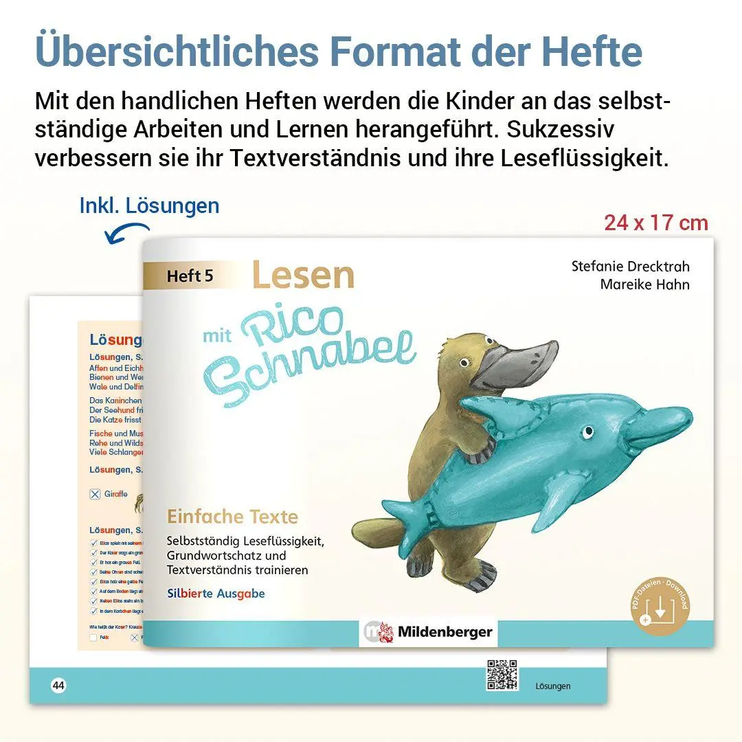 Bild: 9783619120659 | Lesen mit Rico Schnabel, Heft 5: Einfache Texte - silbierte Ausgabe