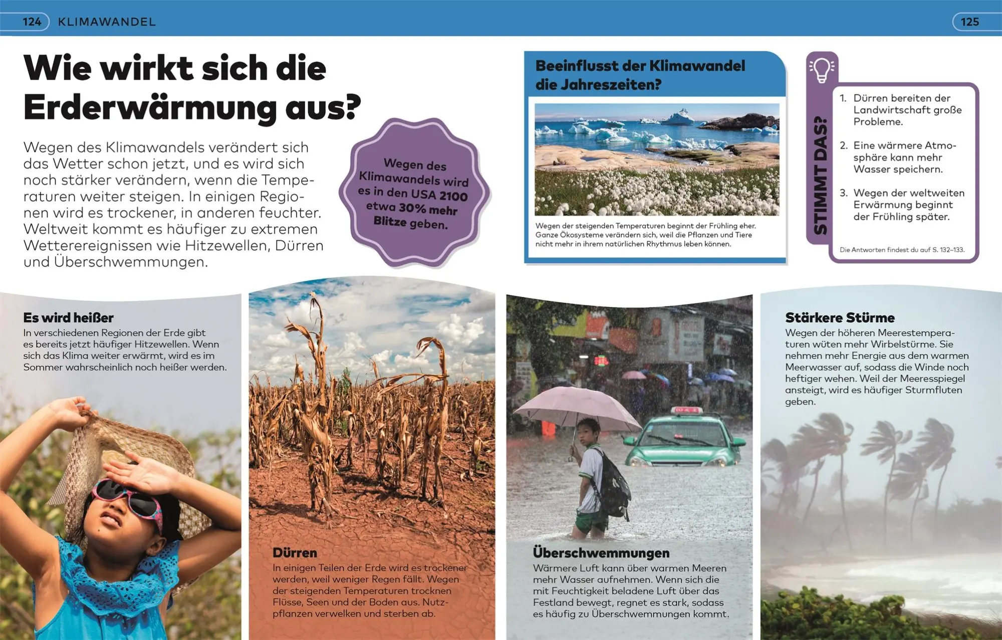 Bild: 9783831050659 | Weshalb? Deshalb! Wetter | Steve Setford | Buch | Weshalb? Deshalb!