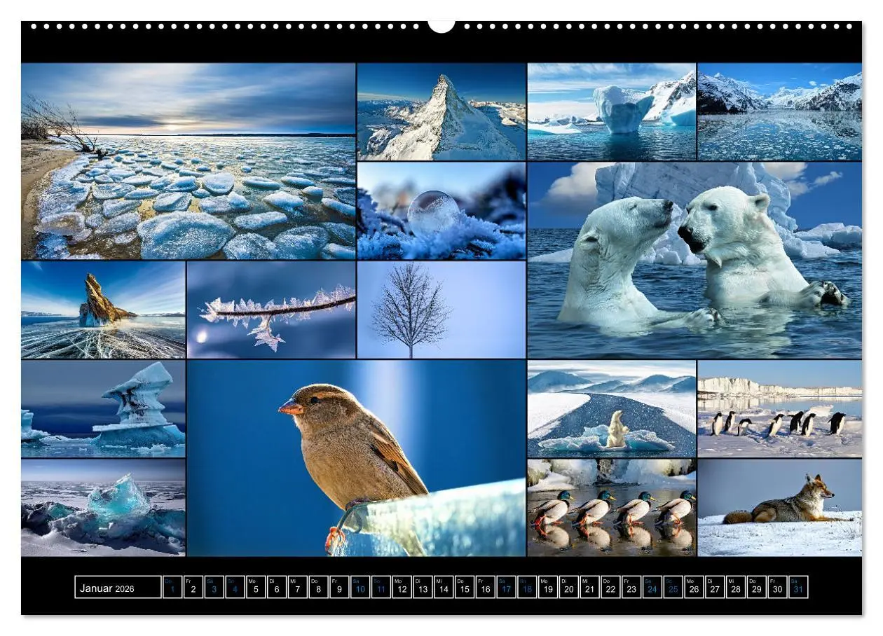 Bild: 9783457440759 | Farbsymphonien der Erde (hochwertiger Premium Wandkalender 2026 DIN...