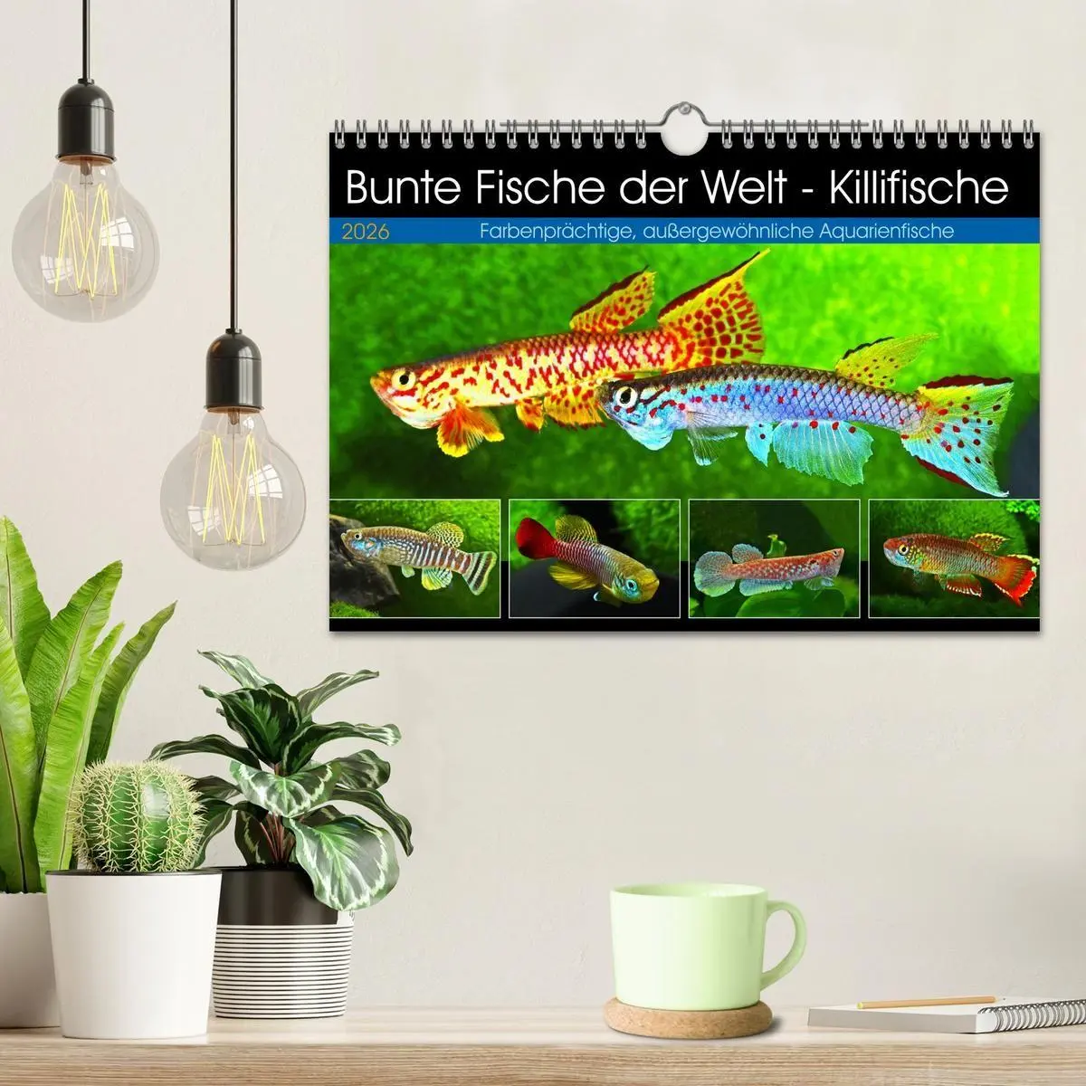 Bild: 9783457990759 | Bunte Fische der Welt - Killifische (Wandkalender 2026 DIN A4...