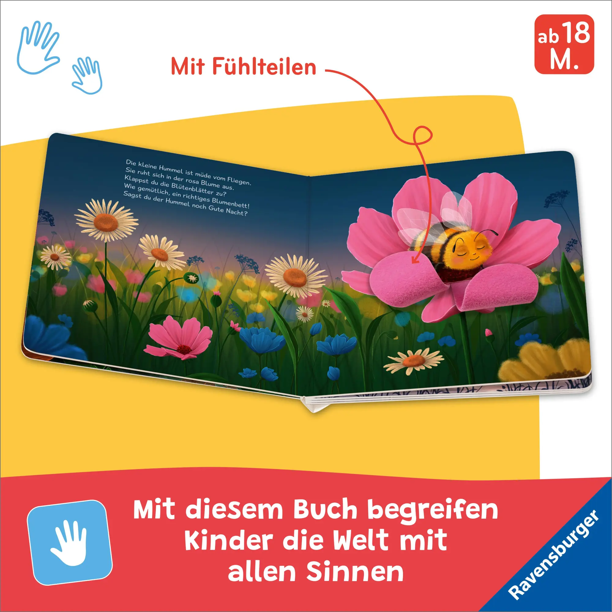 Bild: 9783473420759 | Müde bin ich, deck mich zu | Maria Höck | Buch | 12 S. | Deutsch