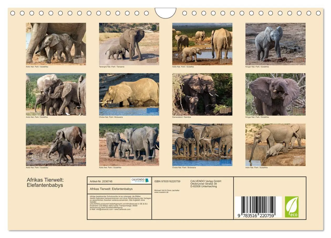 Bild: 9783516220759 | Afrikas Tierwelt: Elefantenbabys (Wandkalender 2026 DIN A4 quer),...
