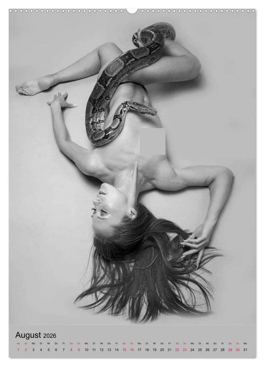 Bild: 9783516390759 | MS UNIVERSE (Wandkalender 2026 DIN A2 hoch), CALVENDO Monatskalender