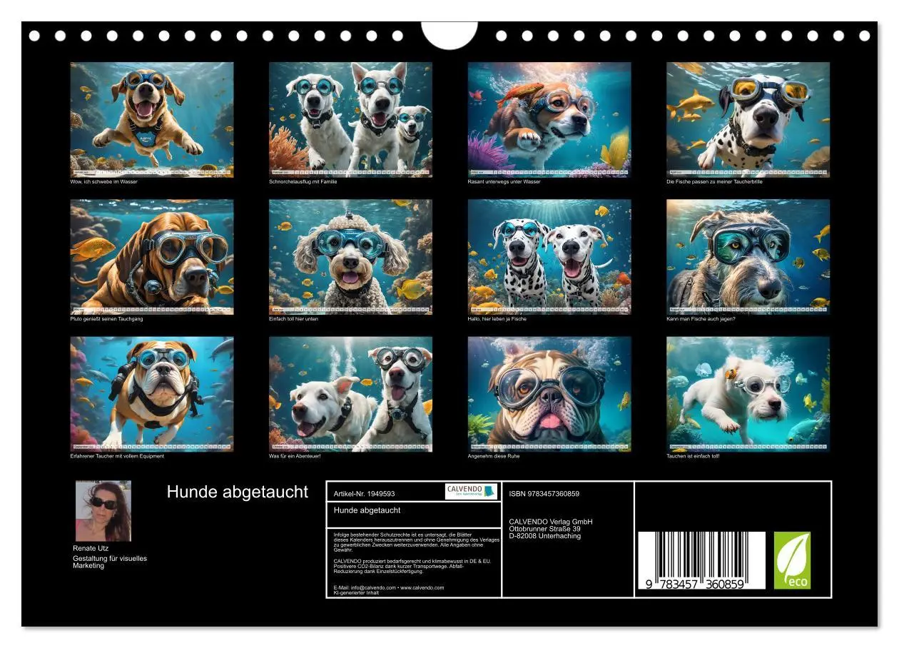 Bild: 9783457360859 | Hunde abgetaucht (Wandkalender 2026 DIN A4 quer), CALVENDO...