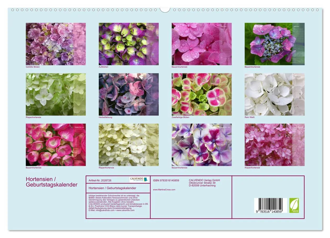Bild: 9783516140859 | Hortensien / Geburtstagskalender (hochwertiger Premium Wandkalender...